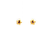 The Shimmer Star Stud Earrings - thumb 2