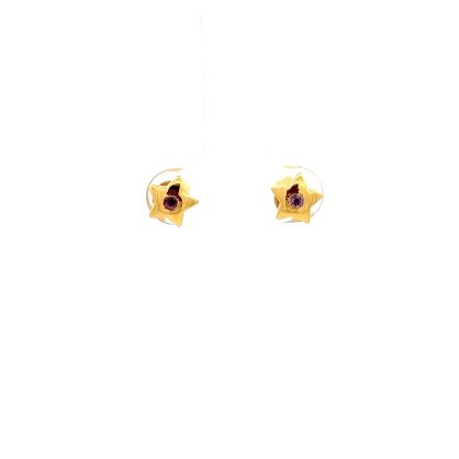 The Shimmer Star Stud Earrings