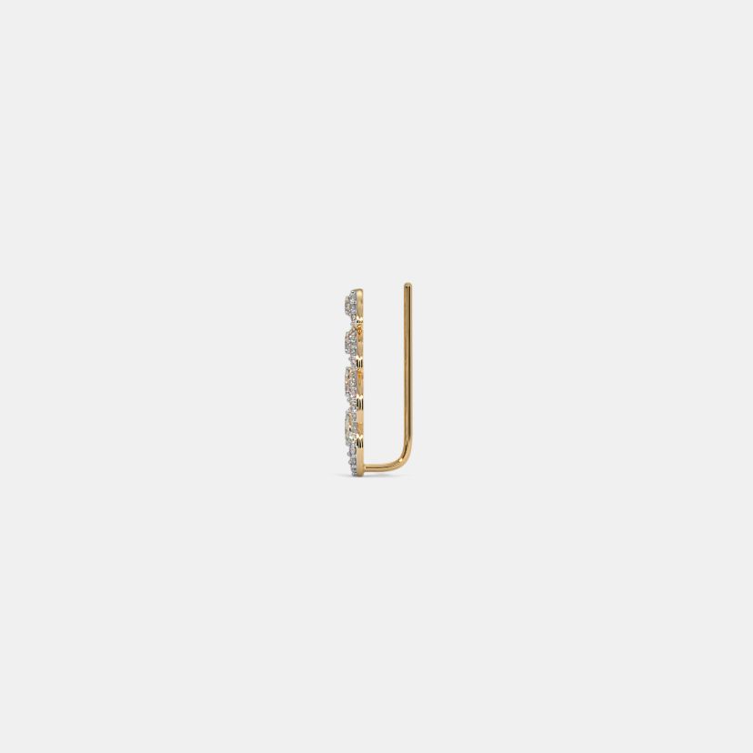 The Chrisley Ear Climbers - image 4