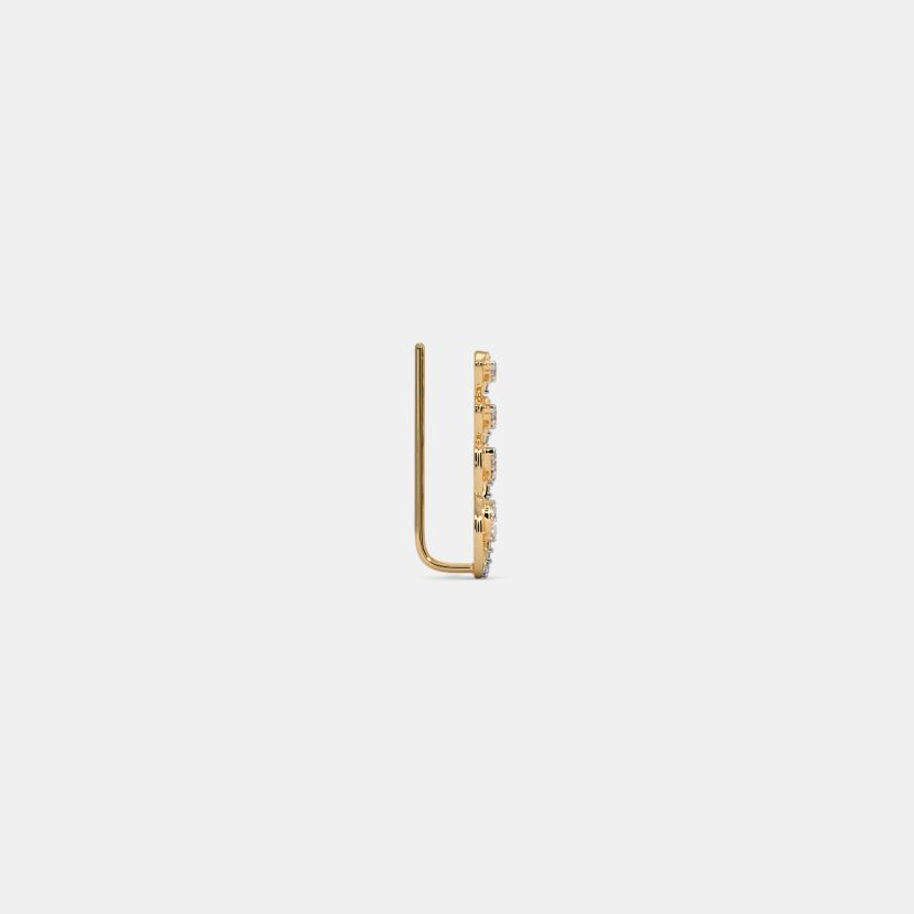 The Chrisley Ear Climbers - image 6